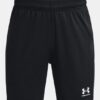 Challenger Knit Shorts Challenger Knit Shorts