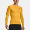 HeatGear® Compression långärmad