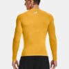 HeatGear® Compression långärmad