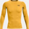 HeatGear® Compression långärmad