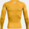 HeatGear® Compression långärmad