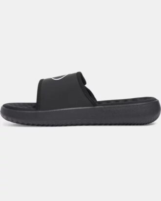 Ignite Pro 8 Slides