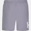 Logo Volley badshorts