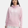 Rival Fleece Big Logo Hoodie