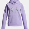 Rival Fleece Shimmer Hoodie
